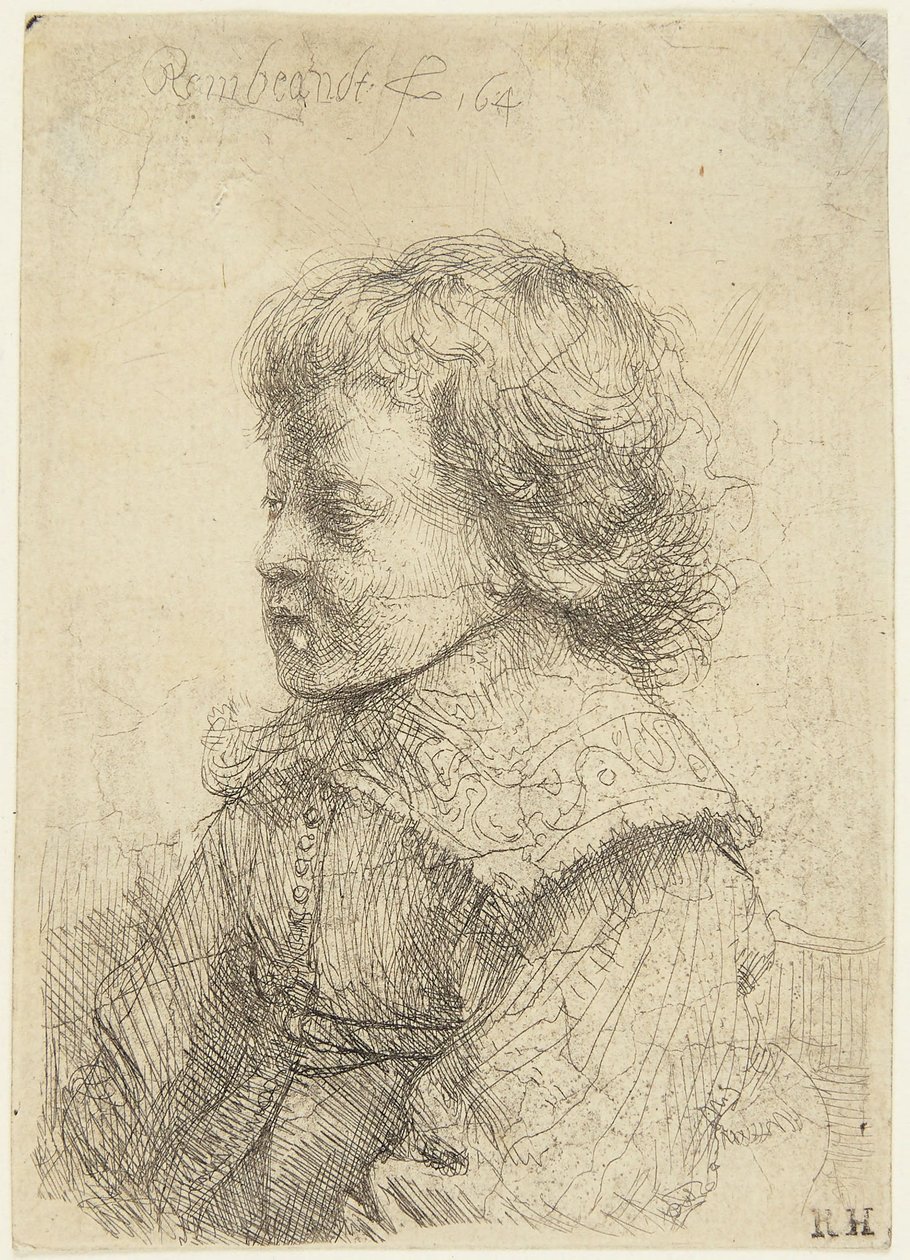 Porträt eines Jungen von Rembrandt van Rijn