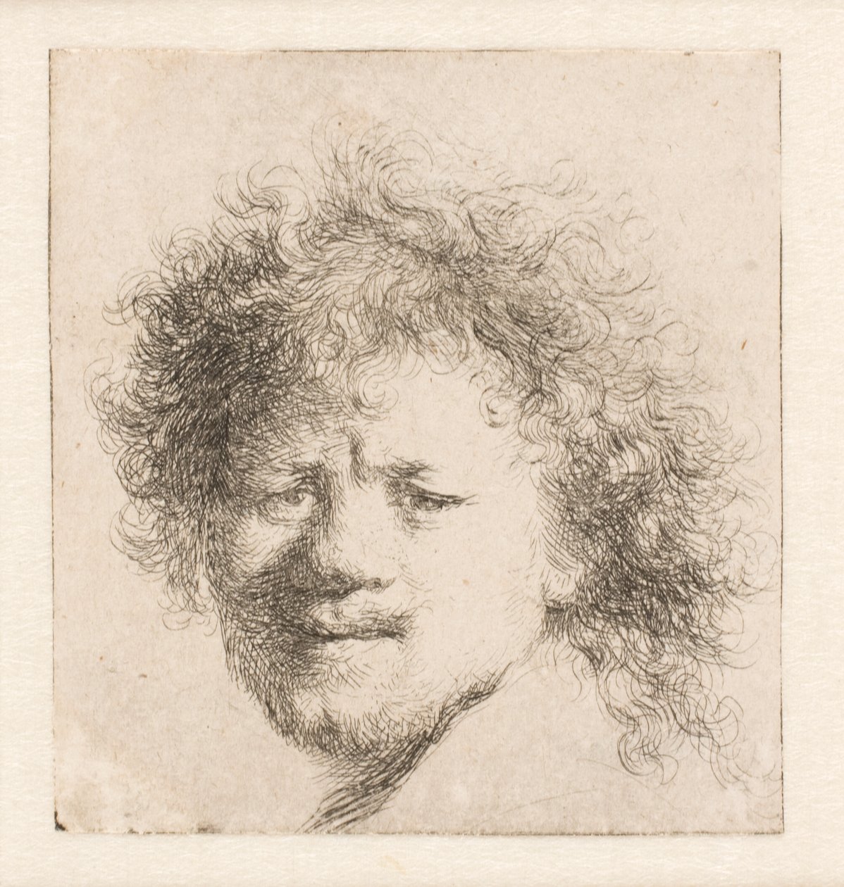Rembrandt mit langem buschigem Haar: nur Kopf von Rembrandt van Rijn