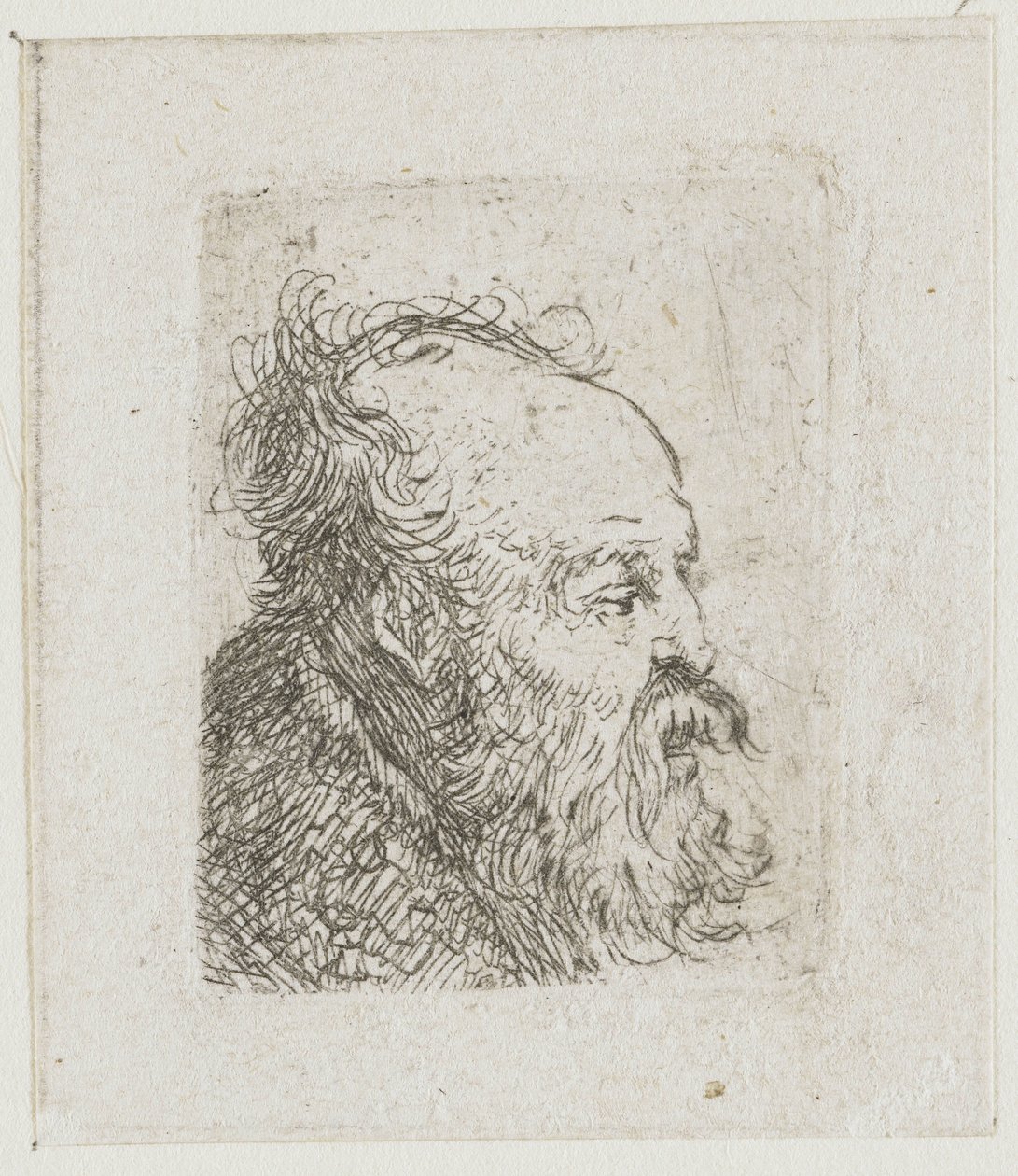 Blatt mit Studien von Männerköpfen: alter bärtiger Mann fast im Profil nach rechts: Mund halb geöffnet von Rembrandt van Rijn