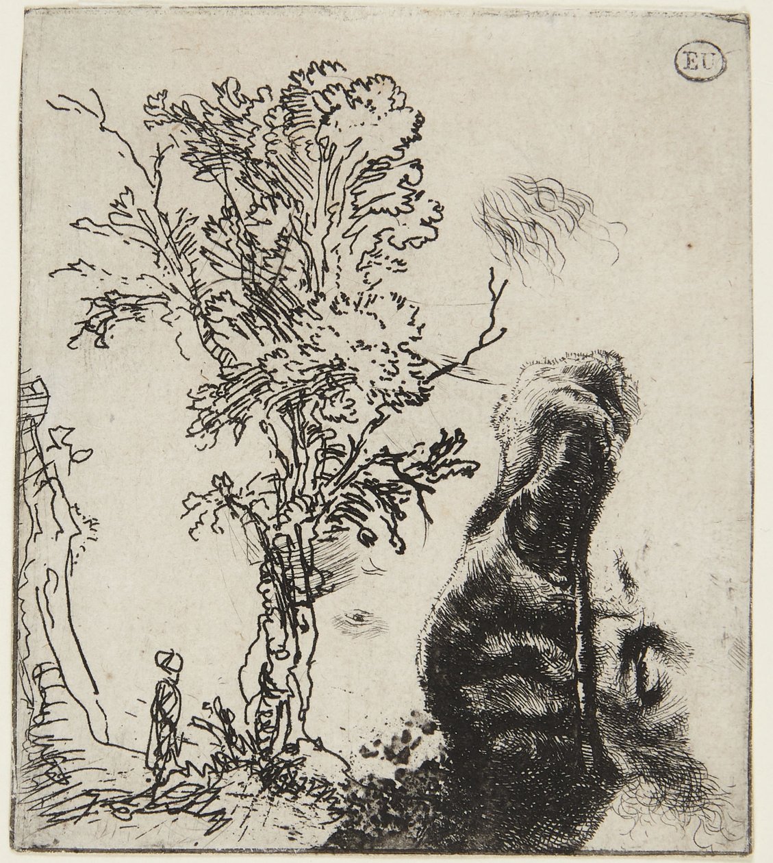 Blatt mit zwei Studien: Ein Baum und oberer Teil eines Selbstporträts mit Samtkappe von Rembrandt van Rijn