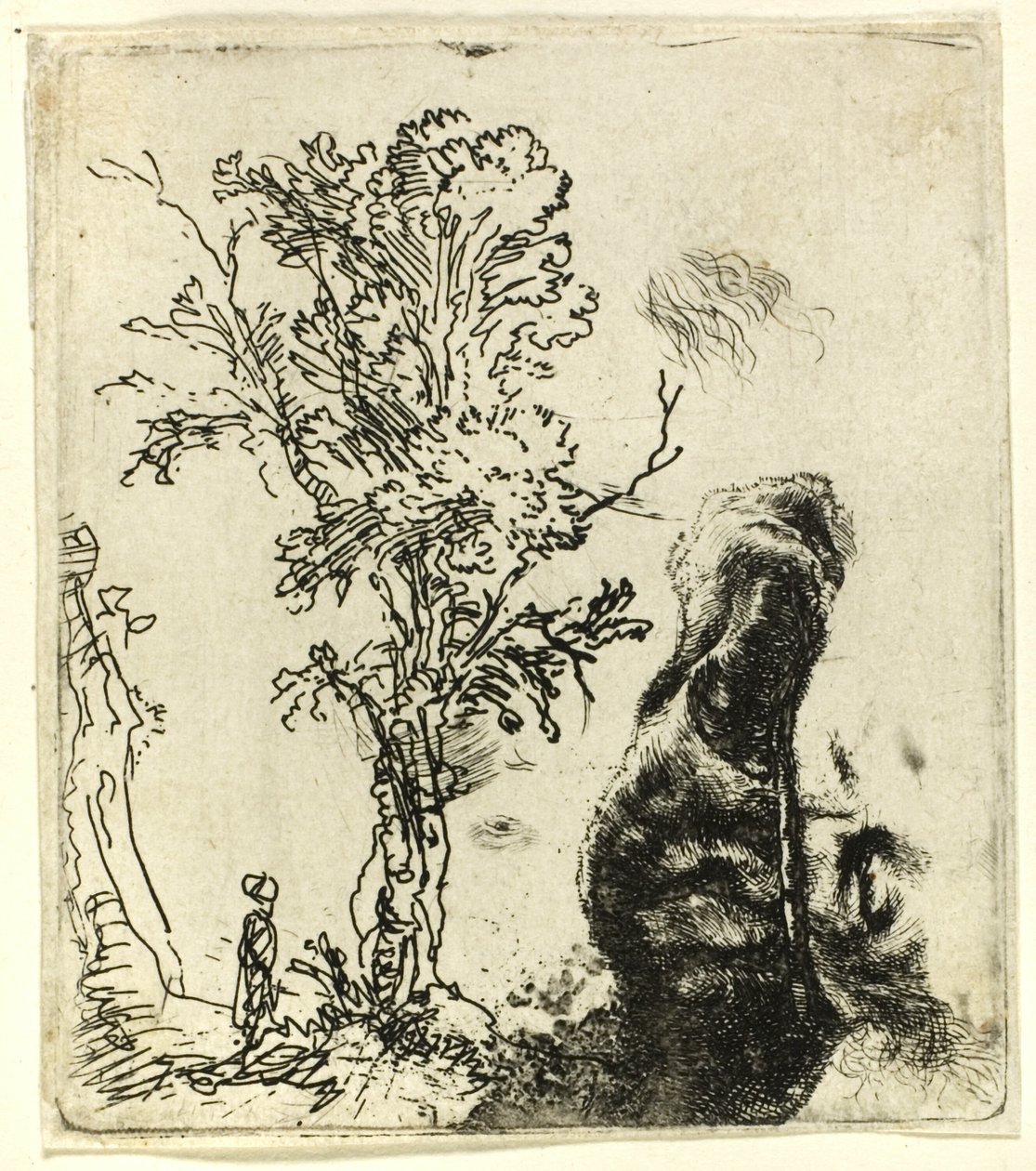 Blatt mit zwei Studien: Ein Baum und der obere Teil des Kopfes des Künstlers mit Samtkappe von Rembrandt van Rijn