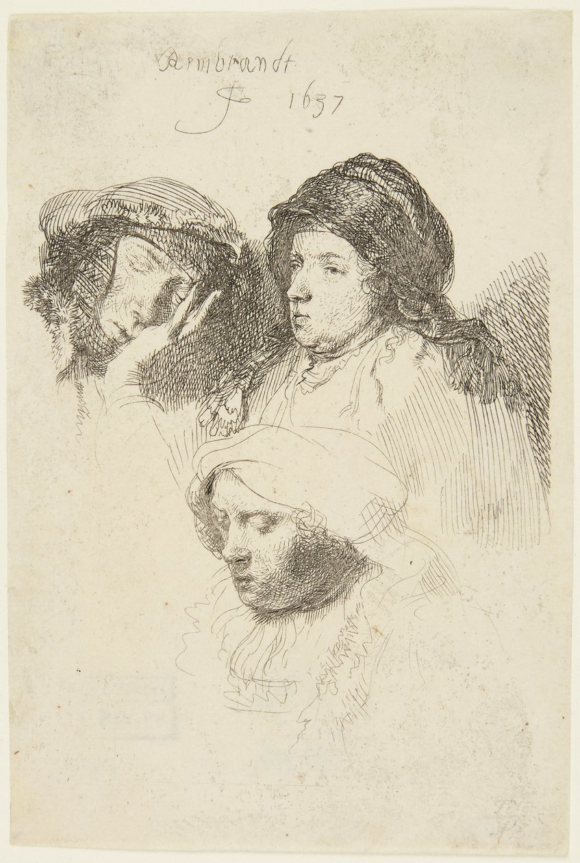 Drei Frauenköpfe von Rembrandt van Rijn