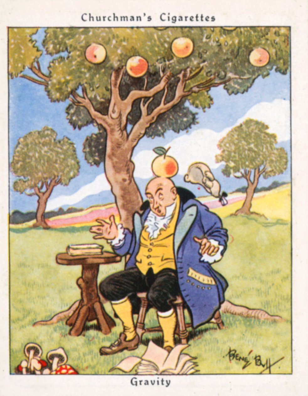 Schwerkraft von René Bull