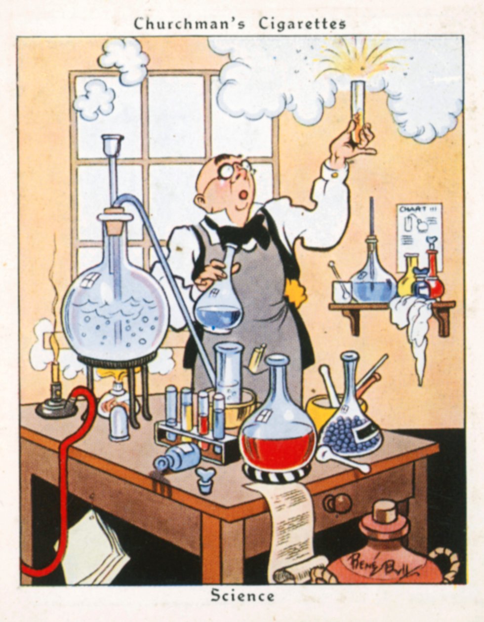 Wissenschaft von René Bull