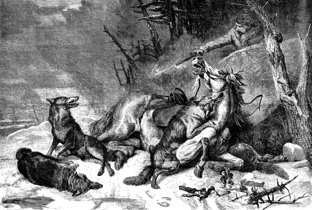 Reisender zu Pferd von einem Wolfsrudel angegriffen von Richard Ansdell