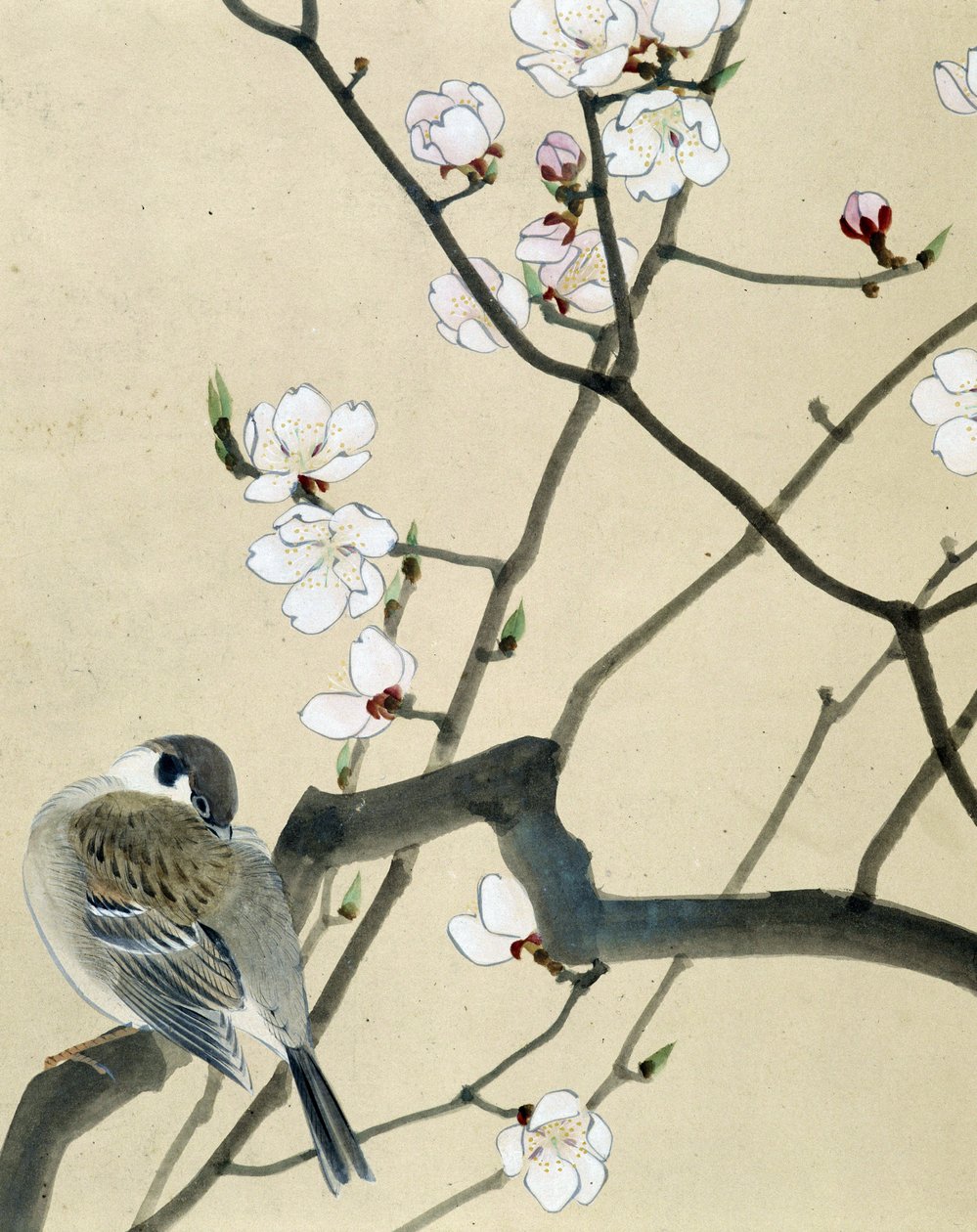 Vogel - Japanische Zeichnung von Riou Chim von Riu Chim