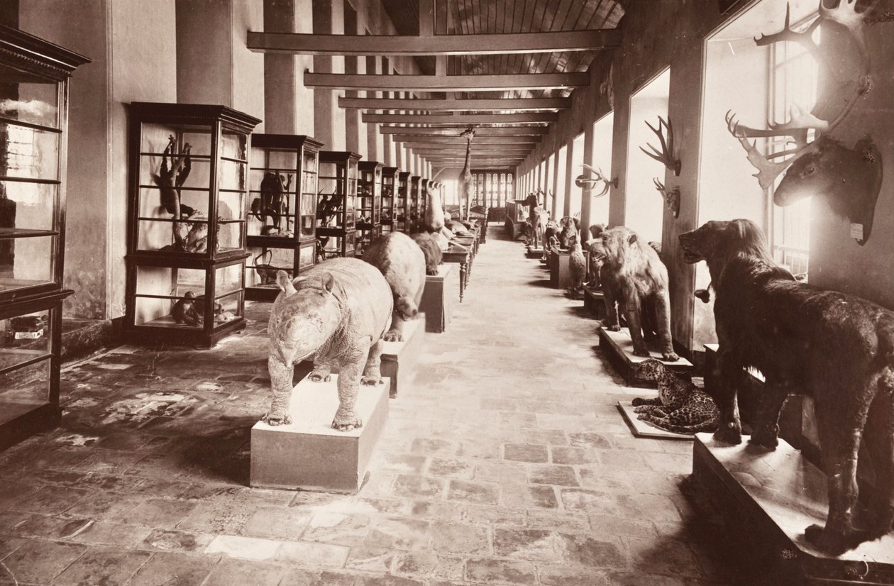 Das Nationalmuseum in Bangkok, ca. 1890 von Robert Lenz