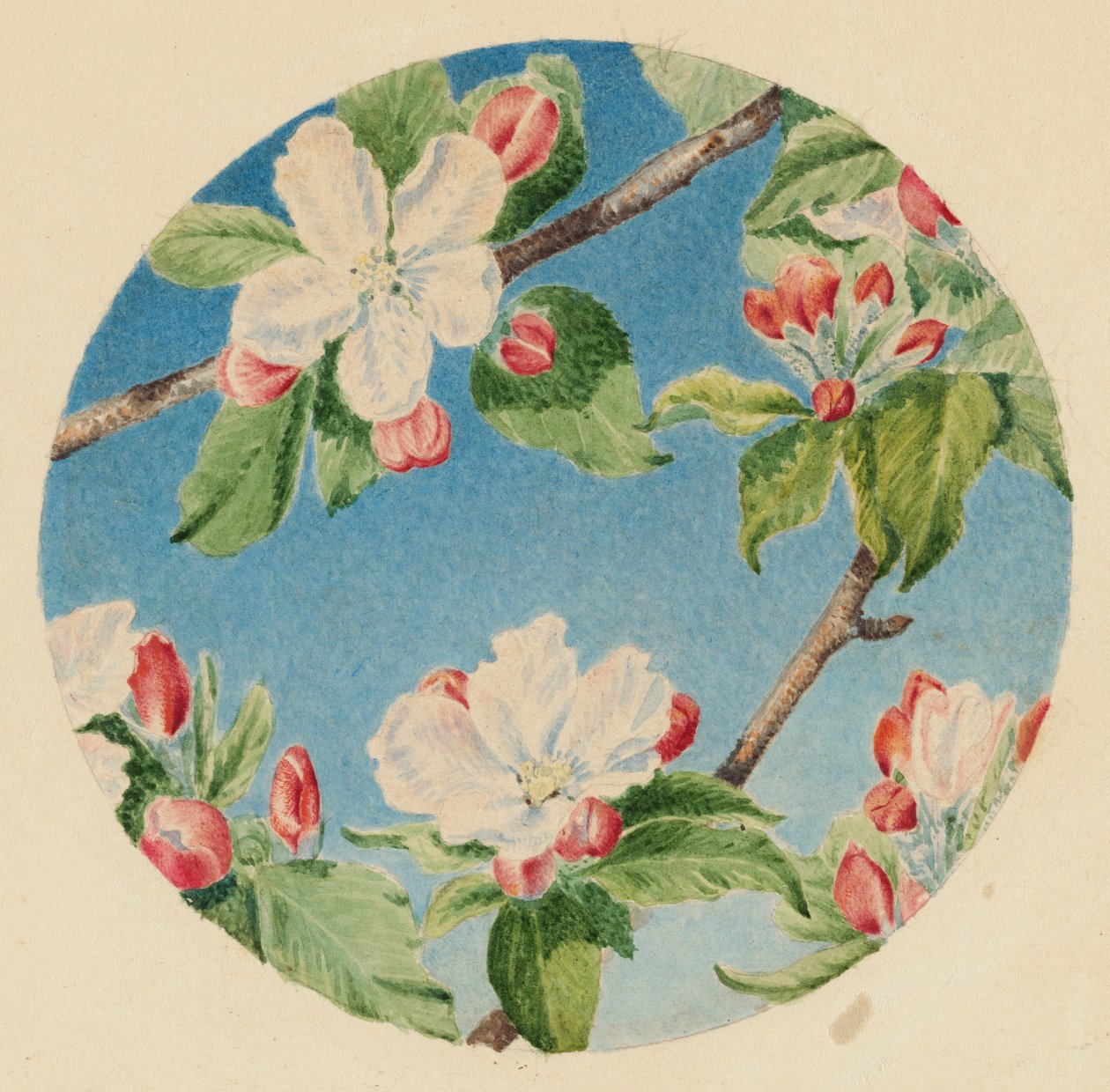 Apfelblüten, ca. 1869 von Robert B. Brandegee