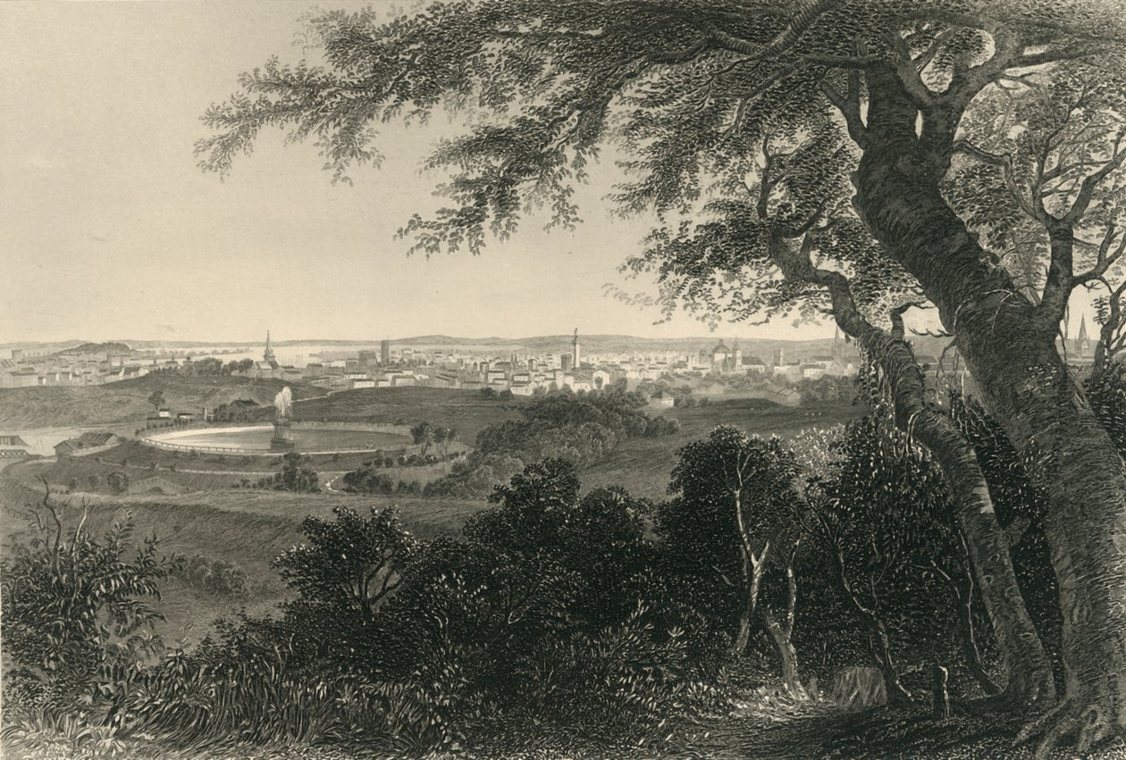 Stadt Baltimore, vom Druid Hill Park, 1874 von Robert Hinshelwood