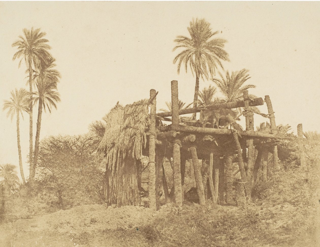 Nubische Sakkieh oder Wasserrad, ca. 1856 von Robert Murray.