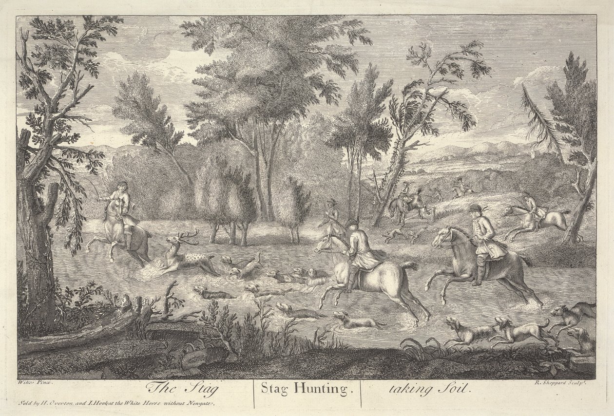 Der Hirsch nimmt Boden von Robert Sheppard