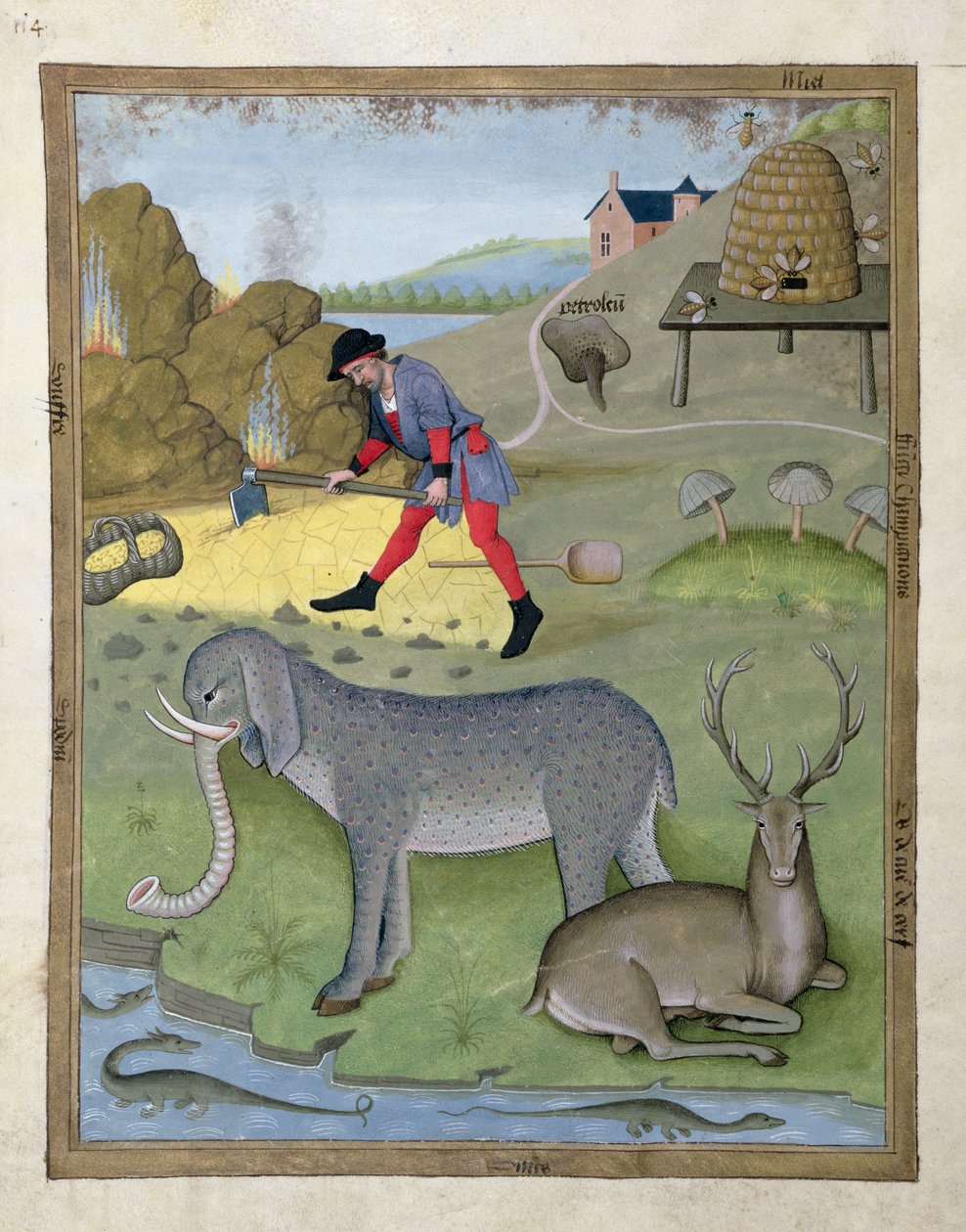 Illustration aus dem Buch der einfachen Heilmittel von Mattheaus Platearius 168v von Robinet Testard