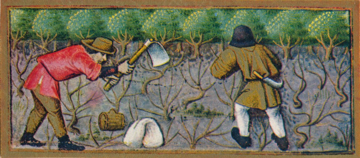 März - Arbeit im Weinberg, 15. Jahrhundert, 1939 von Robinet Testard