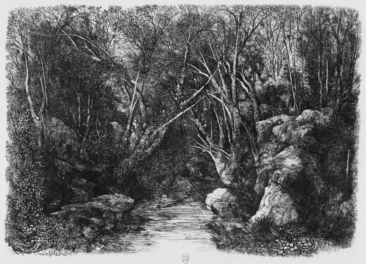 Der Bach durch die Bäume, 1880 von Rodolphe Bresdin