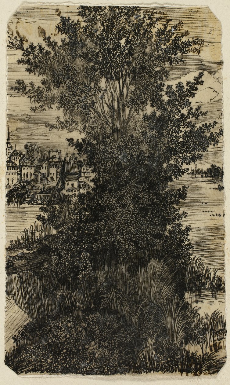 Baumgruppe mit einem Dorf in der Ferne von Rodolphe Bresdin
