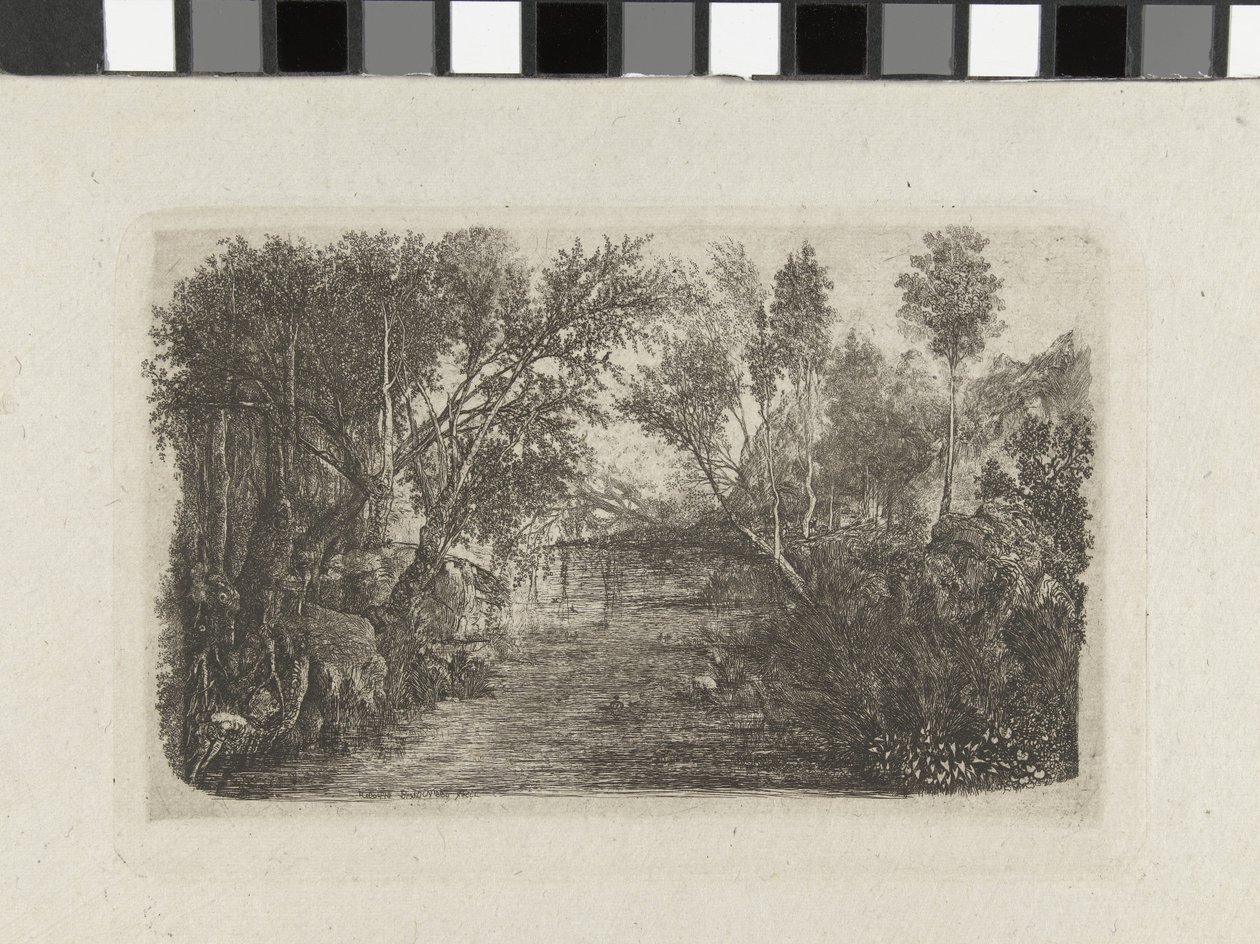 Landschaft mit Bach und Bäumen an den Ufern von Rodolphe Bresdin