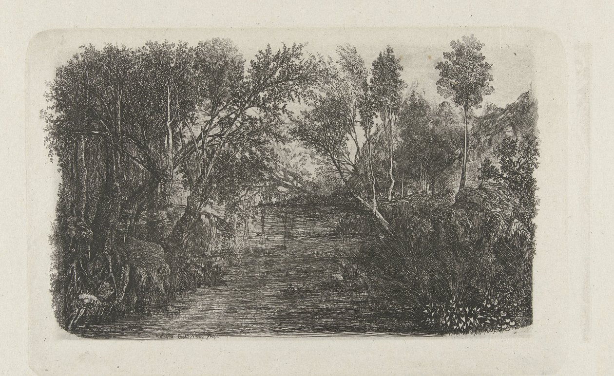 Landschaft mit Bach und Bäumen an den Ufern von Rodolphe Bresdin