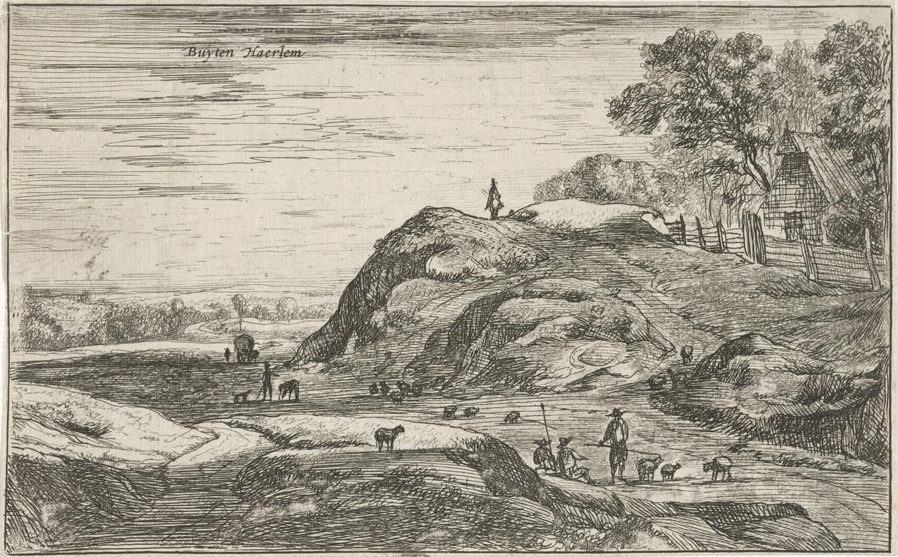 Ansicht außerhalb von Haarlem von Roelant Roghman