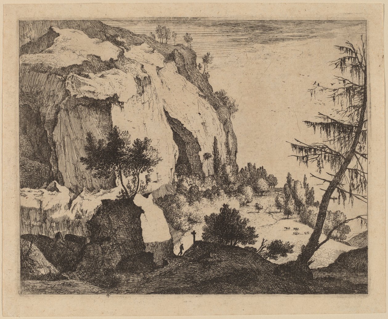 Felsige Landschaft mit Tanne: pl.4 von Roelant Roghman and Melchior Küsel