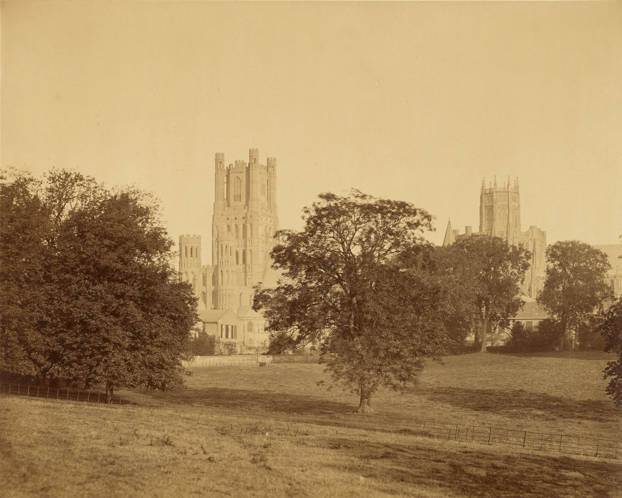 Ely Kathedrale vom Park aus von Roger Fenton