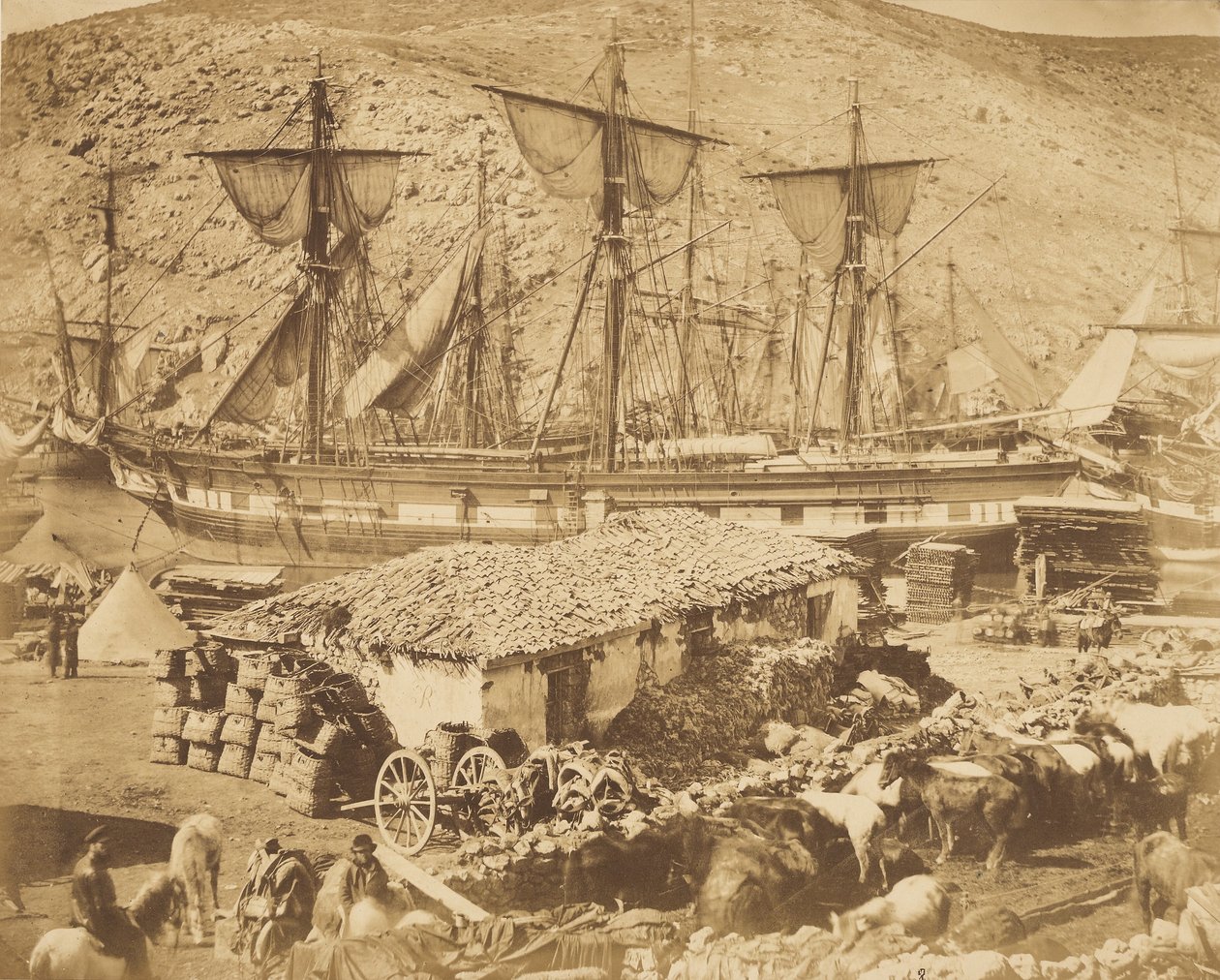 Hafen von Balaklawa, der Vieh-Pier von Roger Fenton