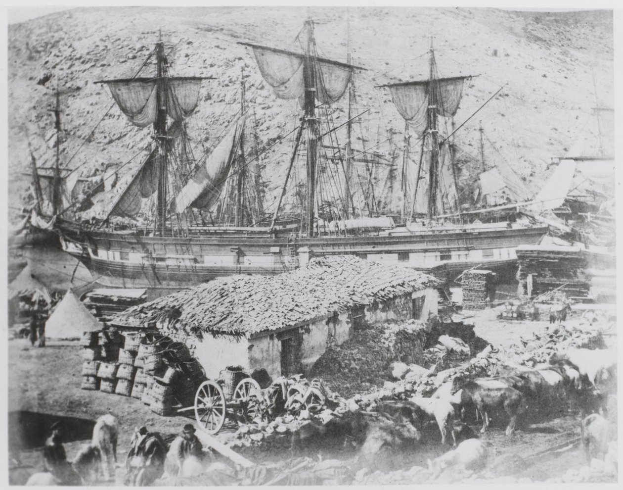 Der Vieh-Pier im Hafen von Balaklava von Roger Fenton