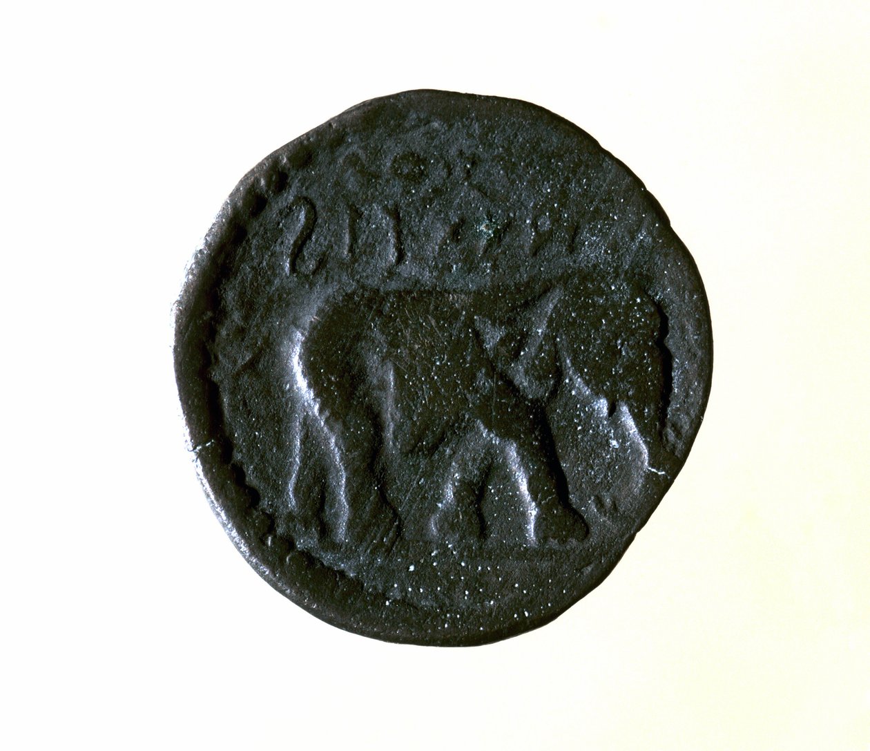 Karthagische Münze, die einen Elefanten darstellt. 3. oder 2. Jahrhundert v. Chr. von Roman