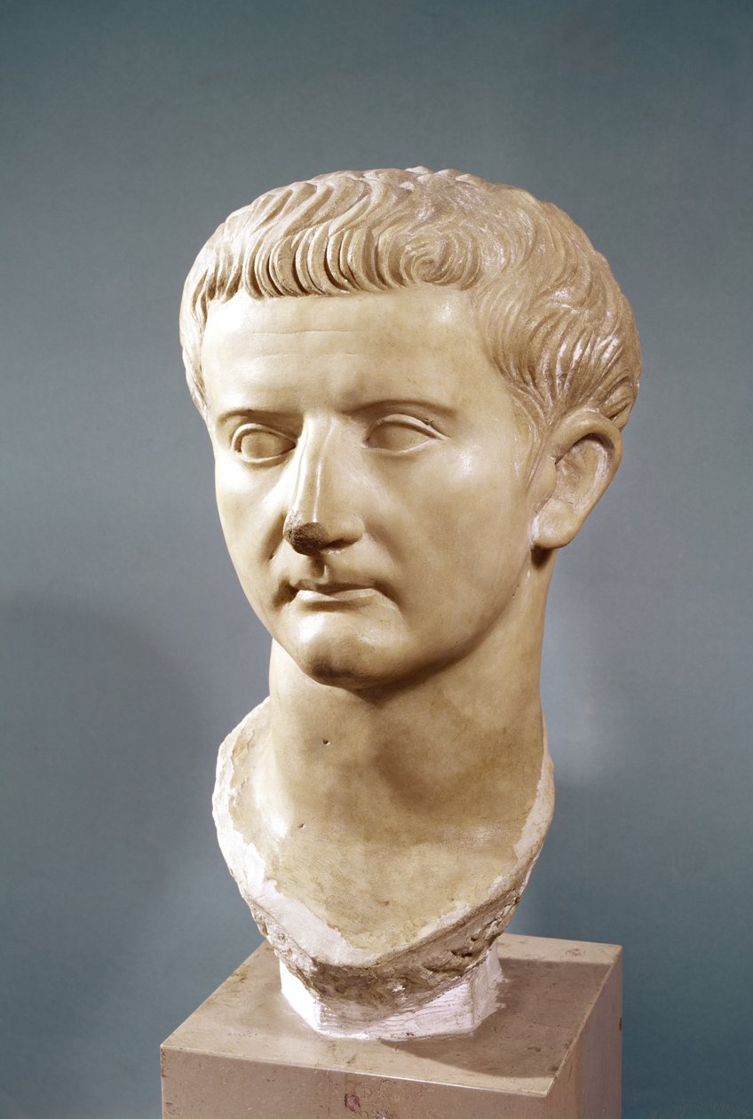 Kopf des Kaisers Tiberius (42 v. Chr. - 37 n. Chr.) (Marmor) von Roman