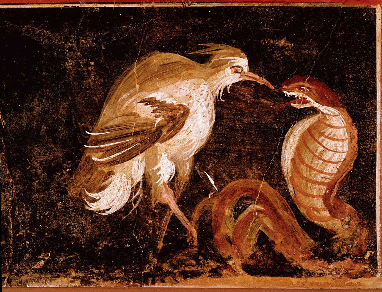 Römische Kunst: „Kampf zwischen einem Reiher und einer Kobra“ Römisches Fresko aus dem Haus der Epigramme, Pompeji, Italien (Kampf zwischen einem Reiher und einer Kobra, Fresko aus der Casa degli Epigrammi, Pompeji) 60-80 n. Chr. von Roman