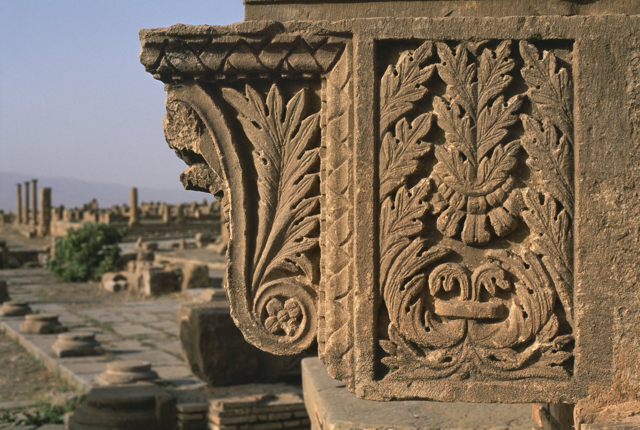 Architektonisches Fragment mit geschnitzter Dekoration, Sertius-Markt, Hochimperiale Periode (27 v. Chr. - 395 n. Chr.) von Roman Imperial Period