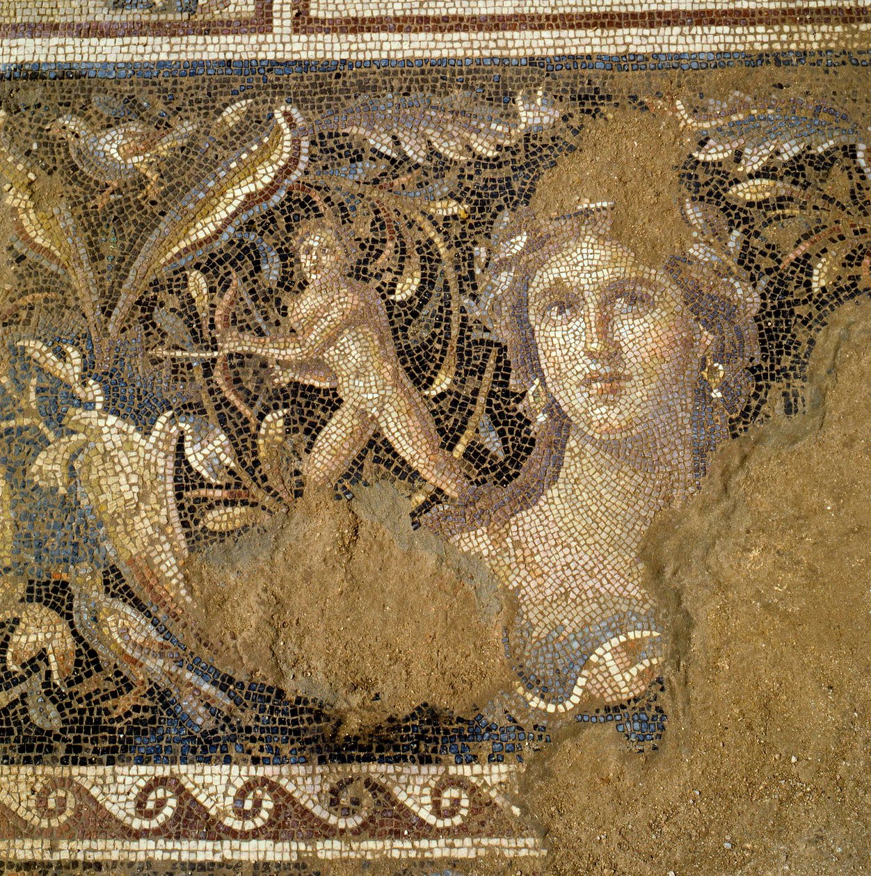Boden aus einer römischen Villa in Zippori (Nazareth), Szenen aus dem Leben des Dionysos darstellend (Detail) von Roman Roman
