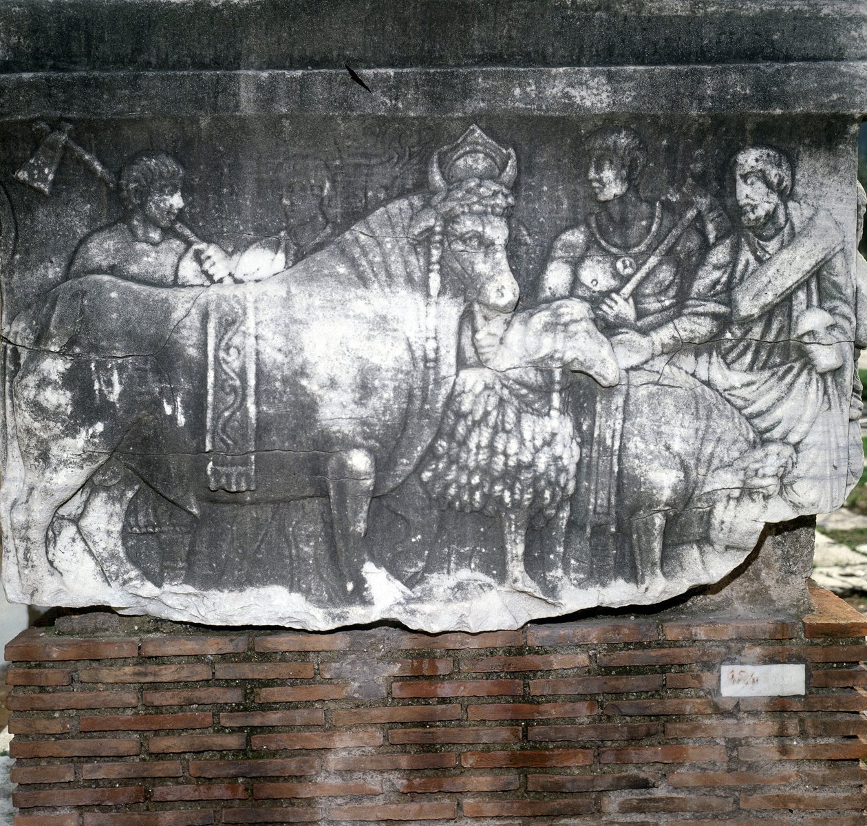 Forum Romanum: Suovetaurilia (Opfer eines Schweins, eines Widders und eines Stiers). Rom von Roman Roman