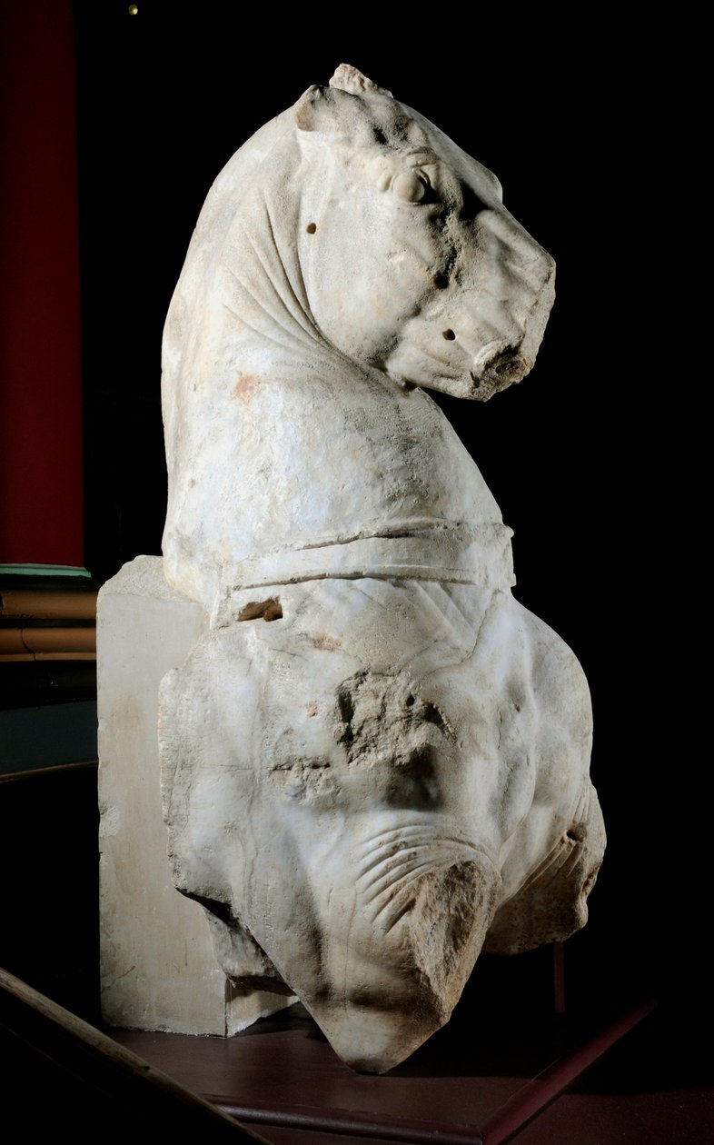 Vorderteil eines Pferdes von Roman Roman