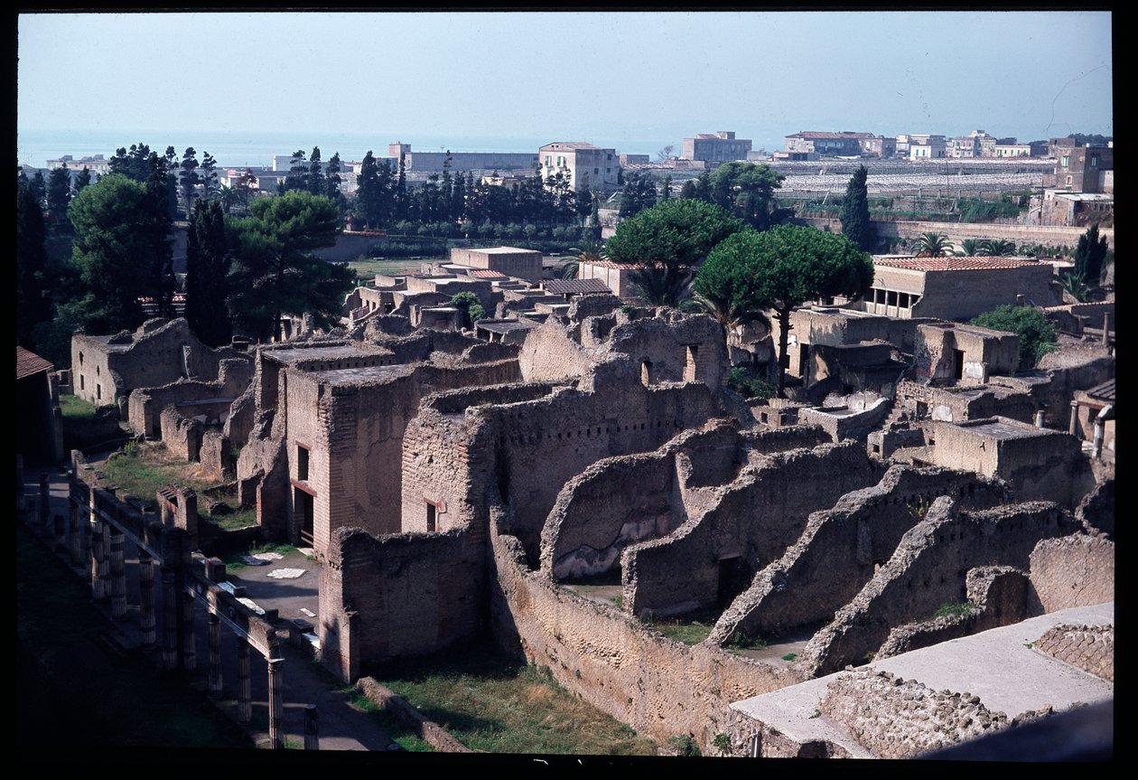 Panoramablick auf die archäologische Stätte von Roman Roman