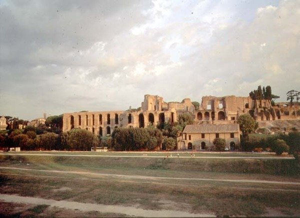 Blick auf den Palatin vom Circus Maximus von Roman Roman
