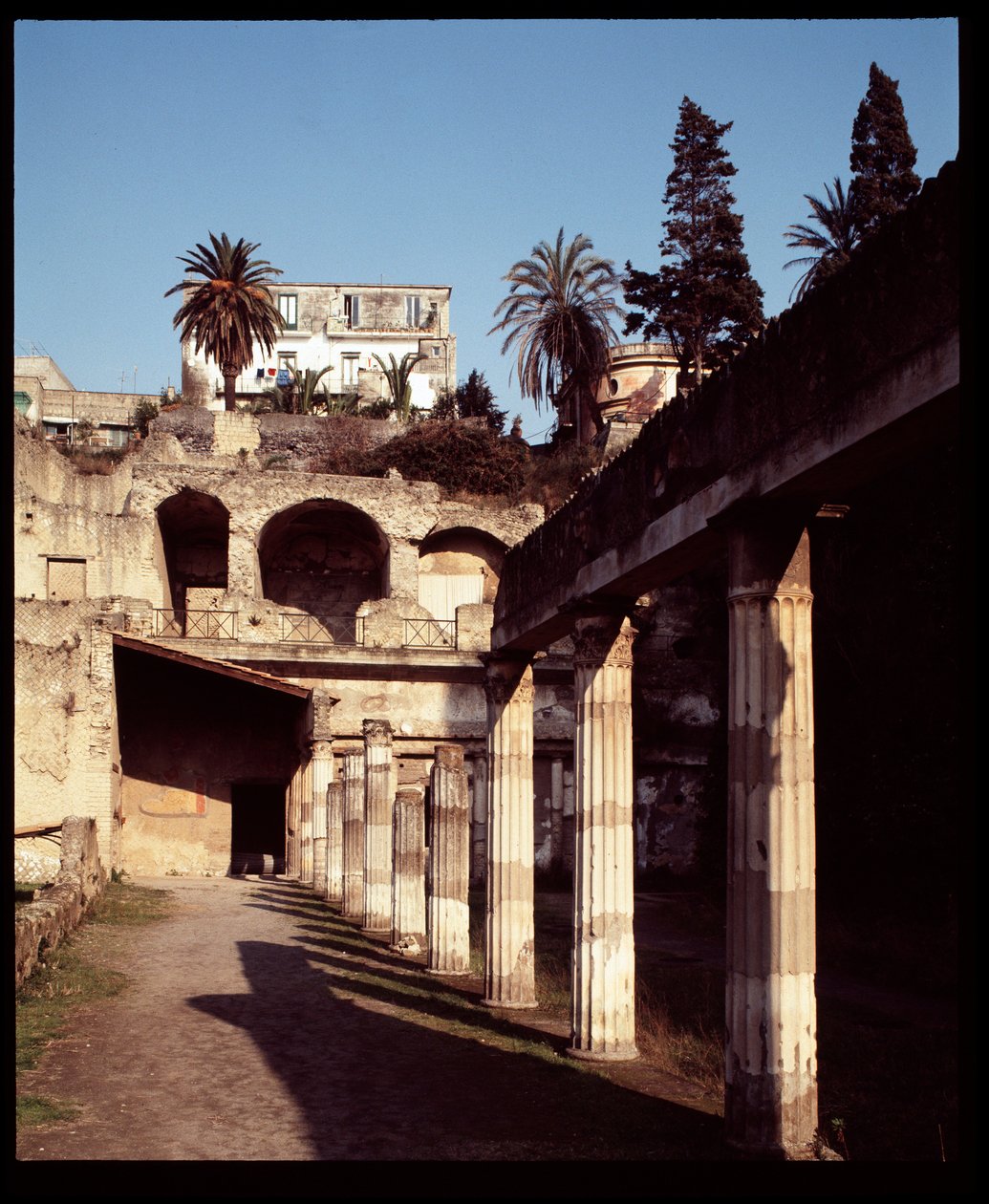 Blick auf die Palestra von Roman Roman