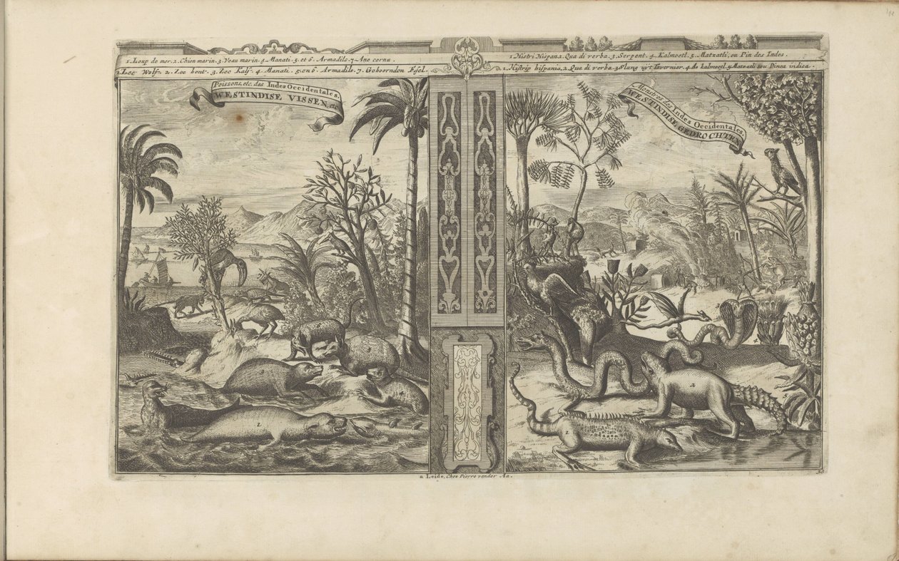 Dieren uit West-Indië von Romeyn de Hooghe