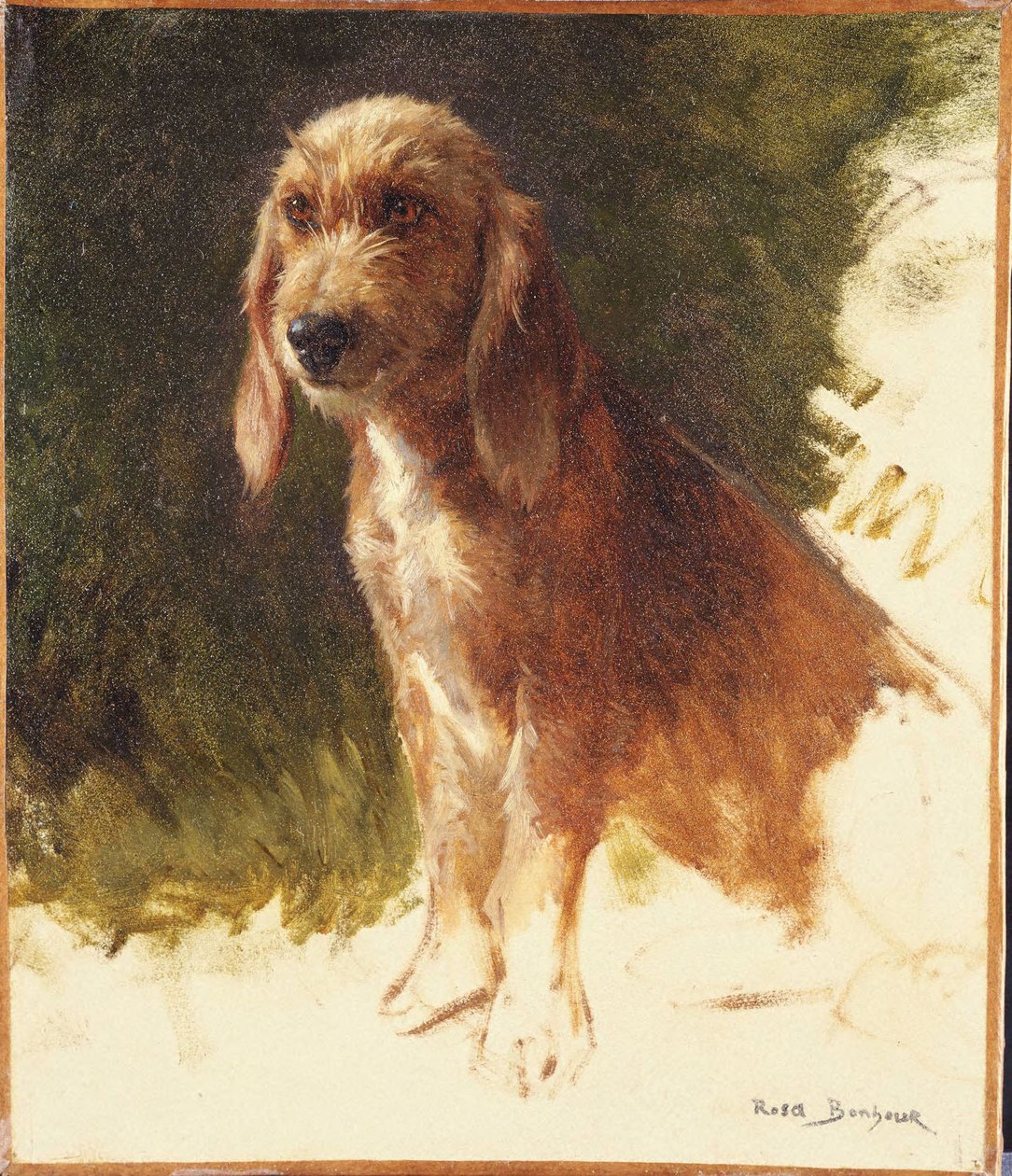 Studie eines Hundes von Rosa Bonheur