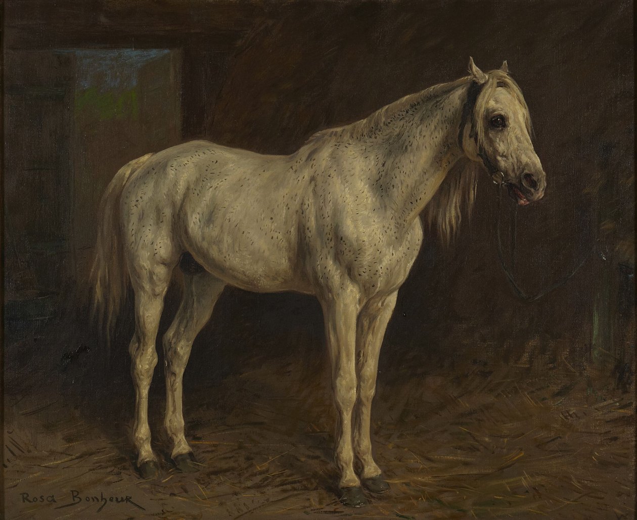 Weißes Pferd von Rosa Bonheur