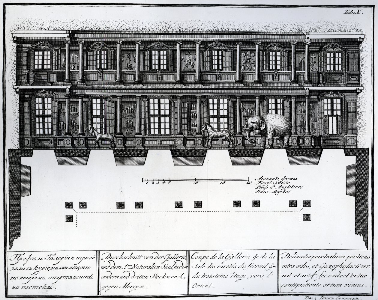 Querschnittsansicht des zweiten und dritten Stockwerks der Halle der Raritäten nach Osten, Illustration in Chambers der St. Petersburger Kaiserlichen Akademie der Wissenschaften Bibliothek und Galerie mit Plänen, Fassaden und Profilen von Russian School