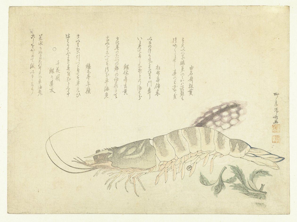 Krebs und Tintenfisch von Ryuryukyo Shinsai
