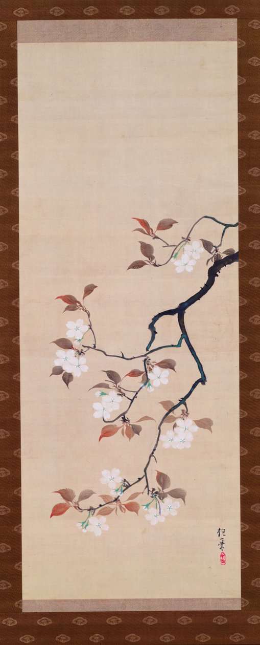 Hängerolle, die Kirschblüten darstellt, aus einem Triptychon der drei Jahreszeiten, Japanisch, frühes 19. Jahrhundert von Sakai Hoitsu