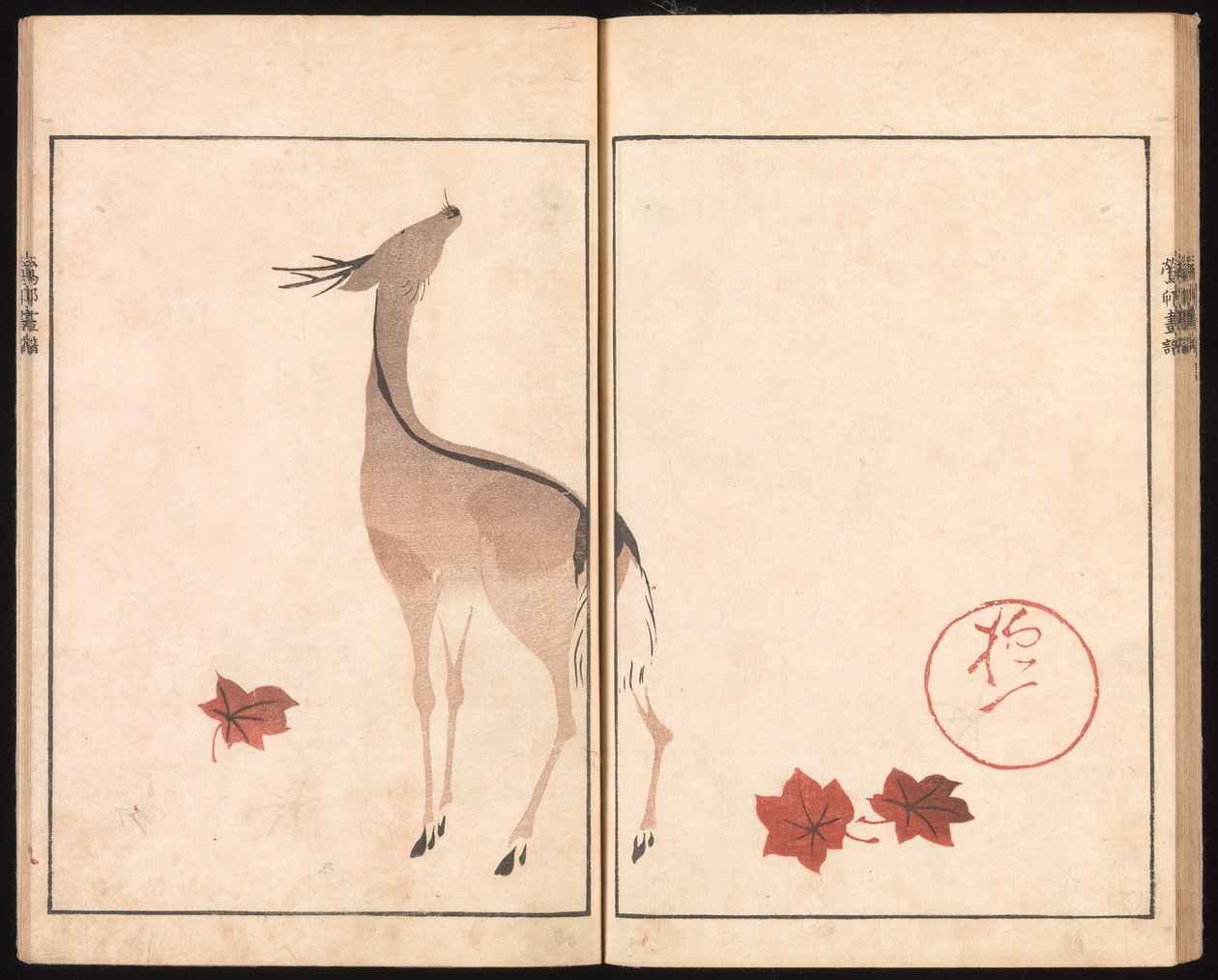 Ōson (Hōitsu) Bilderalbum (Ōson gafu) von Sakai Hoitsu