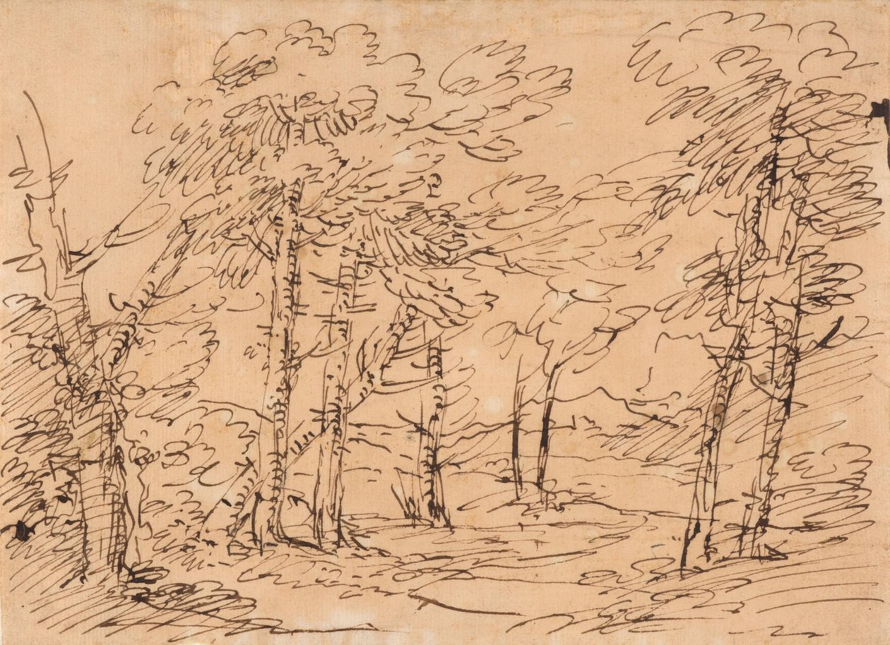 Landschaft mit Bäumen und Bergen im Hintergrund von Salvator Rosa