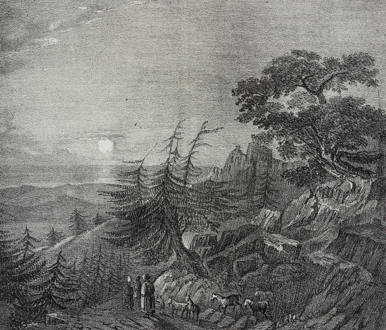 Landschaft des Zedernwaldes auf dem Libanonberg, nahe Beirut, Libanon, Lithografie von Salvatore Puglia aus Poliorama Pittoresco, Nr. 11, 22. Oktober von Salvatore Puglia