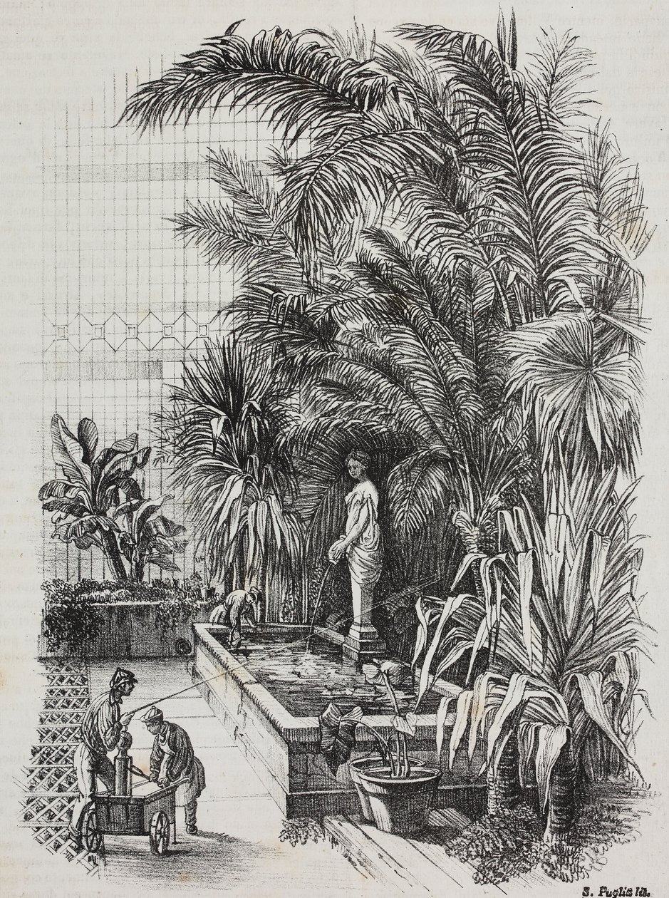Laokoon und seine Söhne, römische Statue, Lithographie von Salvatore Puglia aus Poliorama Pittoresco, Nr. 1, 13. August von Salvatore Puglia