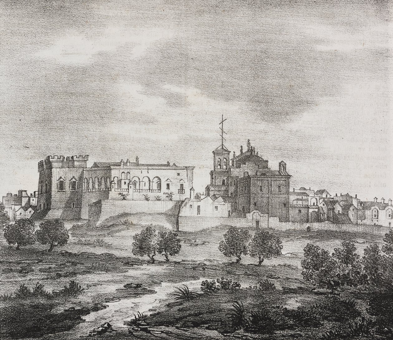Westansicht von Mesagne, Apulien, Italien, Lithographie von Salvatore Puglia aus Poliorama Pittoresco, Nr. 47, 29. Juni von Salvatore Puglia