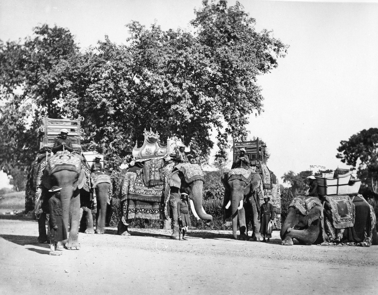 Eine Gruppe von Elefanten des Vizekönigs und ihre Staatstrappings, ca. 1860er Jahre von Samuel Bourne