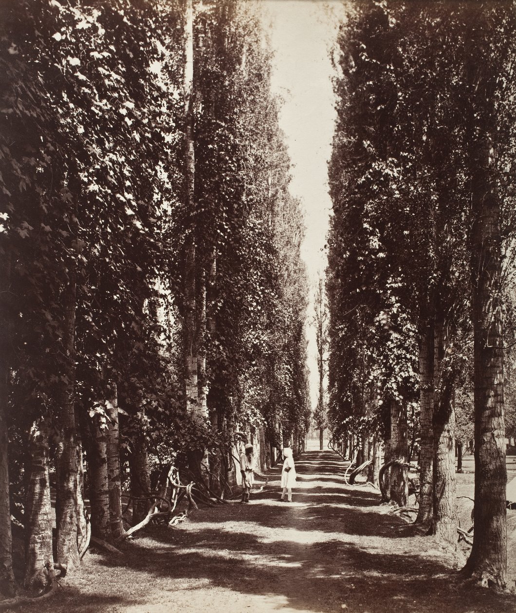 Indien von Samuel Bourne