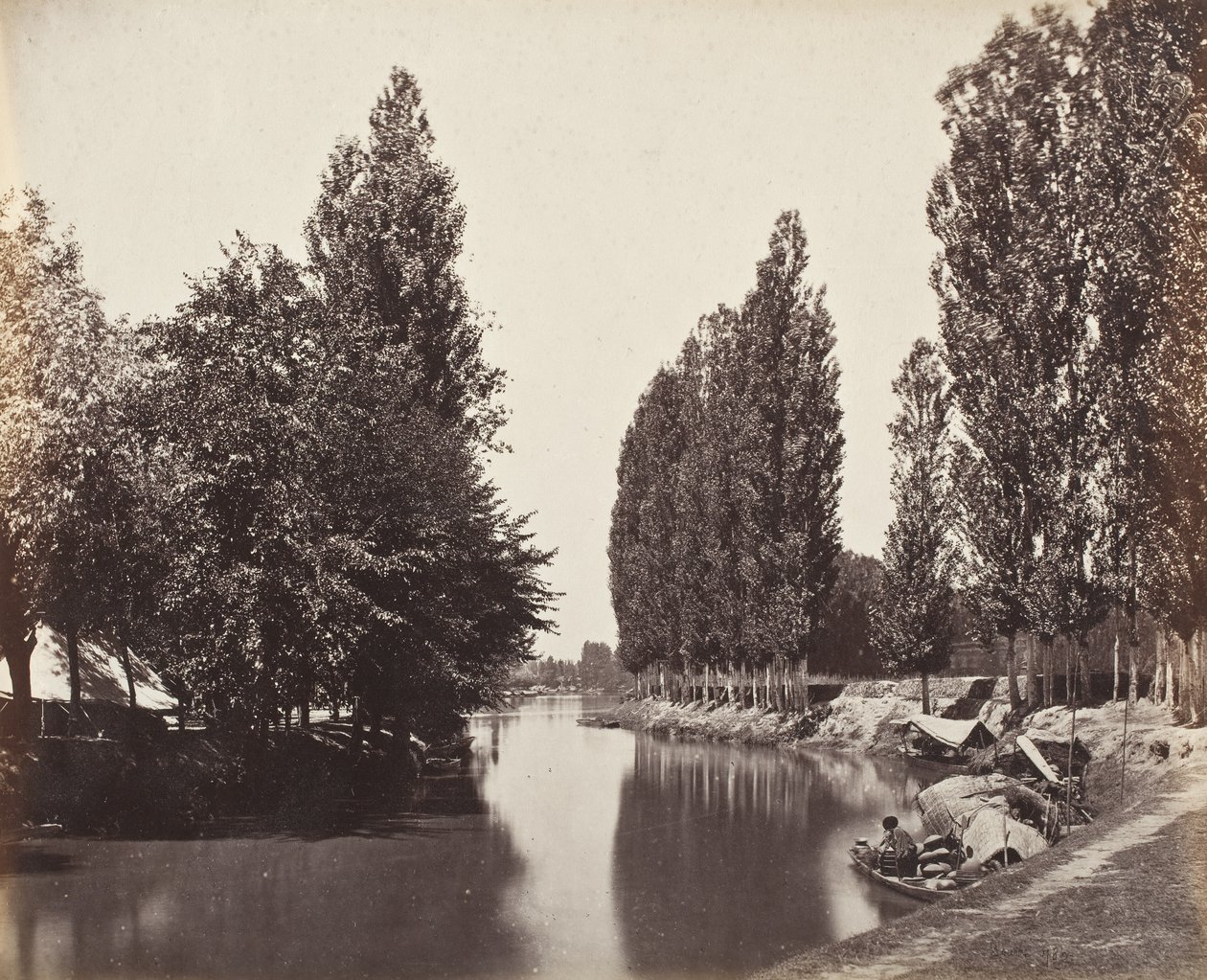Fluss mit Bäumen (Indien) von Samuel Bourne